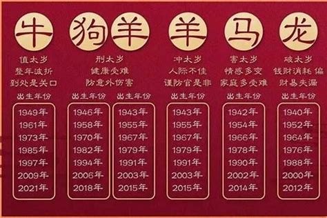 2023年是什么命